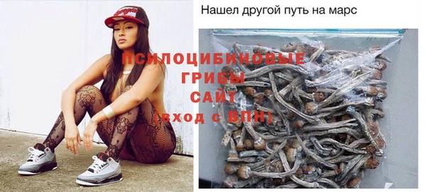 винт Аркадак